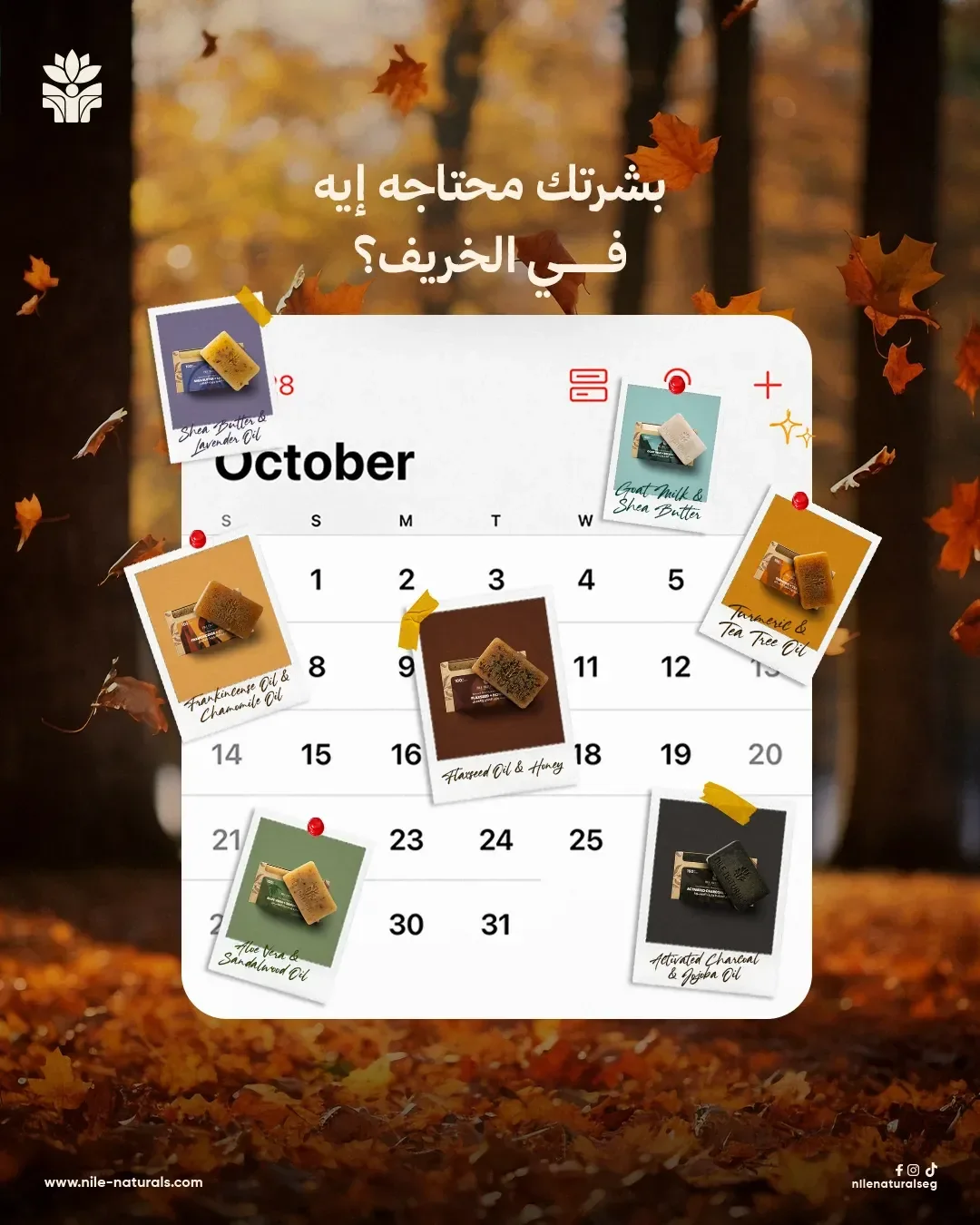 Nile Naturals layout: an October calendar pinned with polaroids of each soap variant, over falling autumn leaves