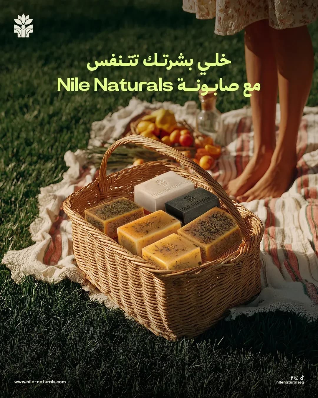 Nile Naturals layout: a wicker basket of six soap bars on a picnic blanket in the grass
