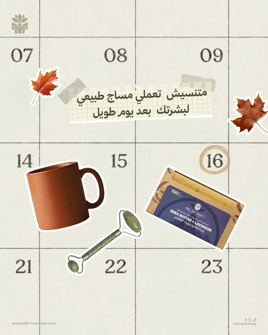 Nile Naturals layout: a mug, a jade face roller and a shea butter and lavender soap taped to a calendar page