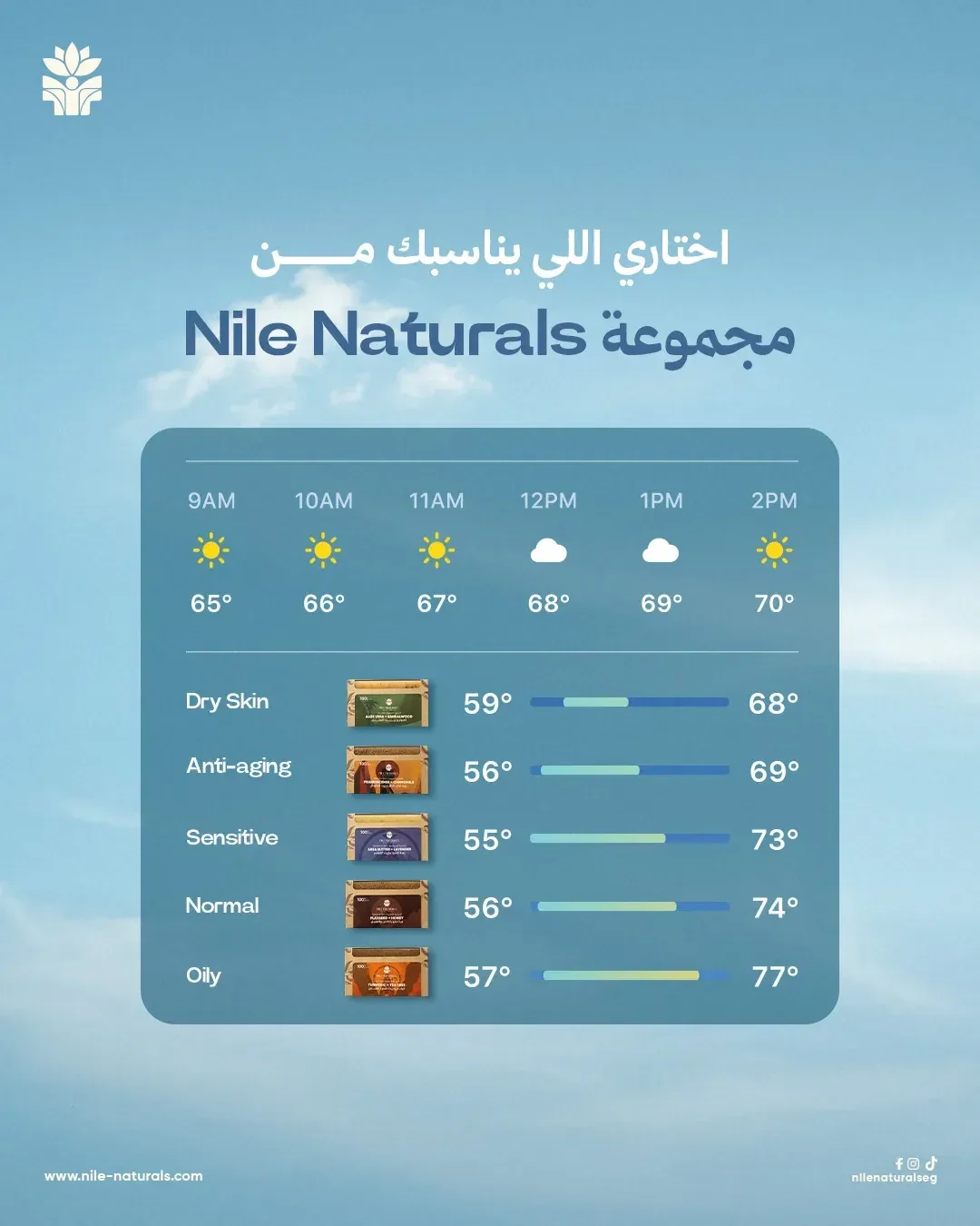 Nile Naturals layout: a weather-style panel matching each soap to a skin type, dry through oily, on a blue sky